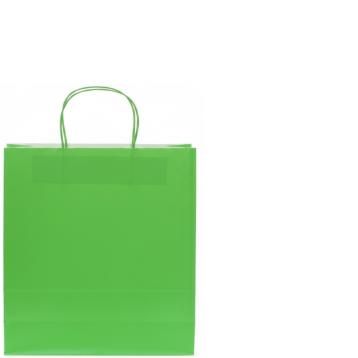 Shopper in carta h.37 x l.27 x p.12 cm colore verde chiaro