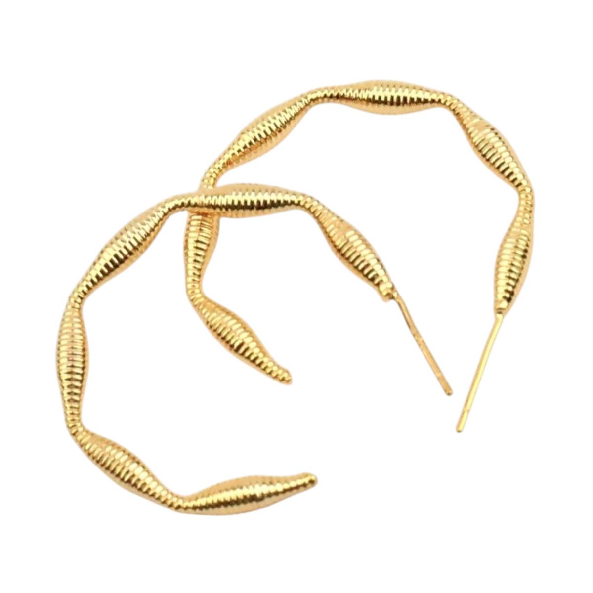 Orecchini donna a cerchio C63