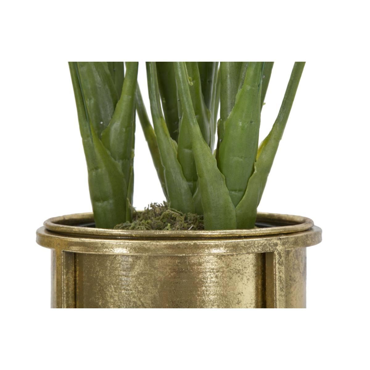 P/vasi glam coppia cm Ø 27x62-21,5x52