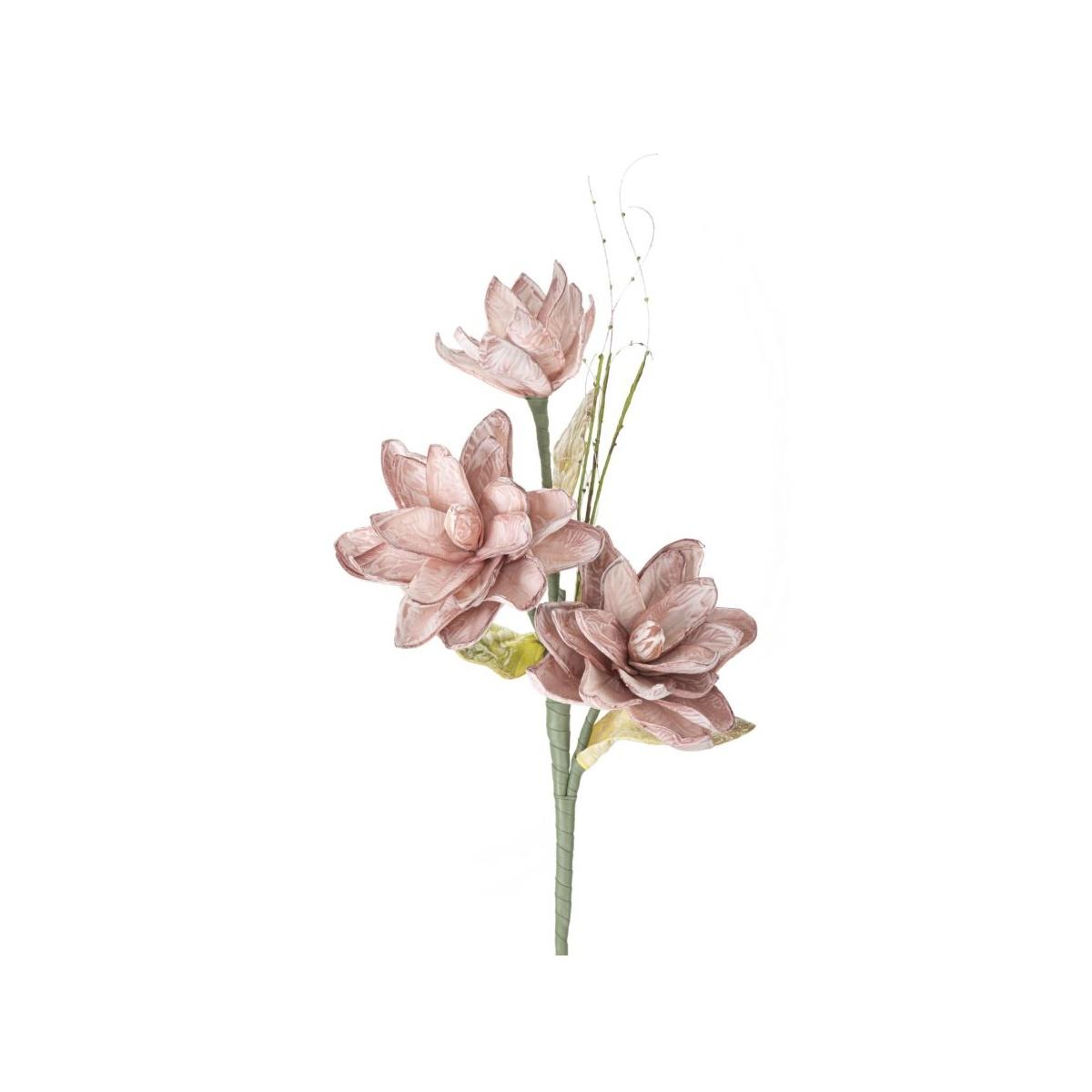 Magnolia x3 rosa cm Ø 30x90  min 10