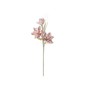 Magnolia x3 rosa cm Ø 30x90 min 10