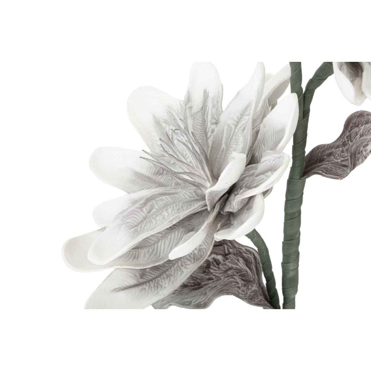 Magnolia x2 grigia cm Ø 25x98 min 12