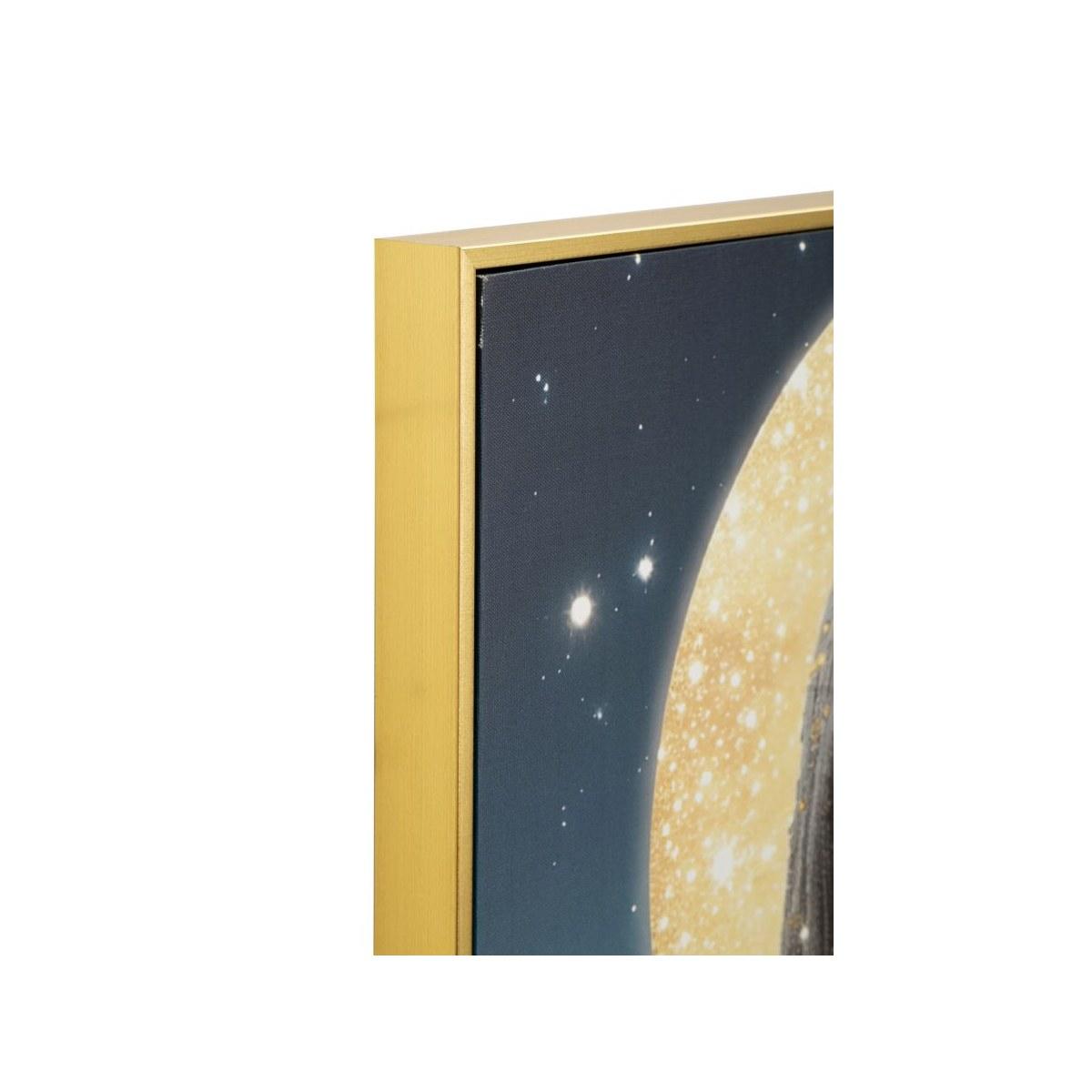 Stampa c/led su tela laccata c/cornice venus cm 70x4x100 alimentazione batterie