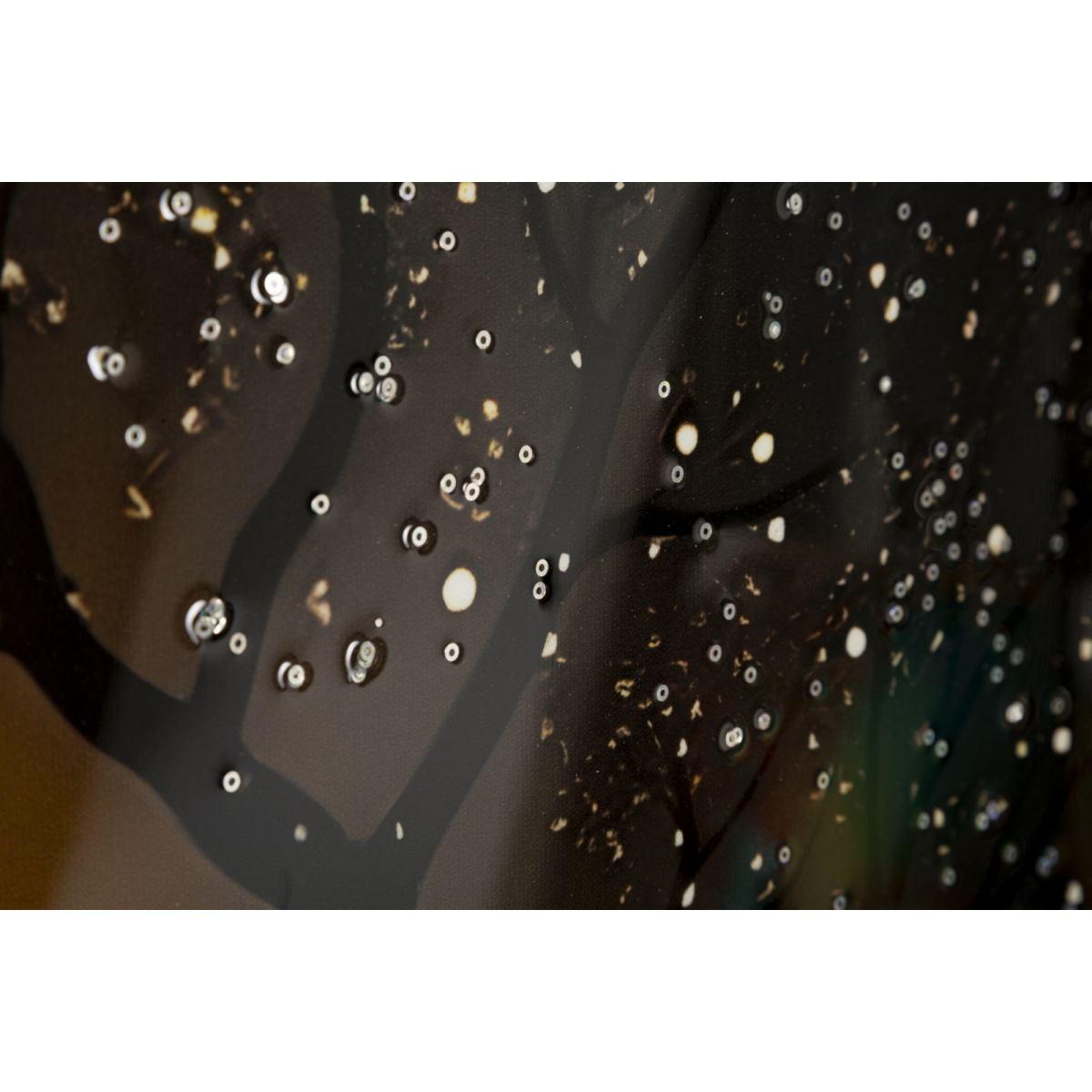 Stampa decorata su tela laccata c/cornice peacock cm 70x4<br>x100