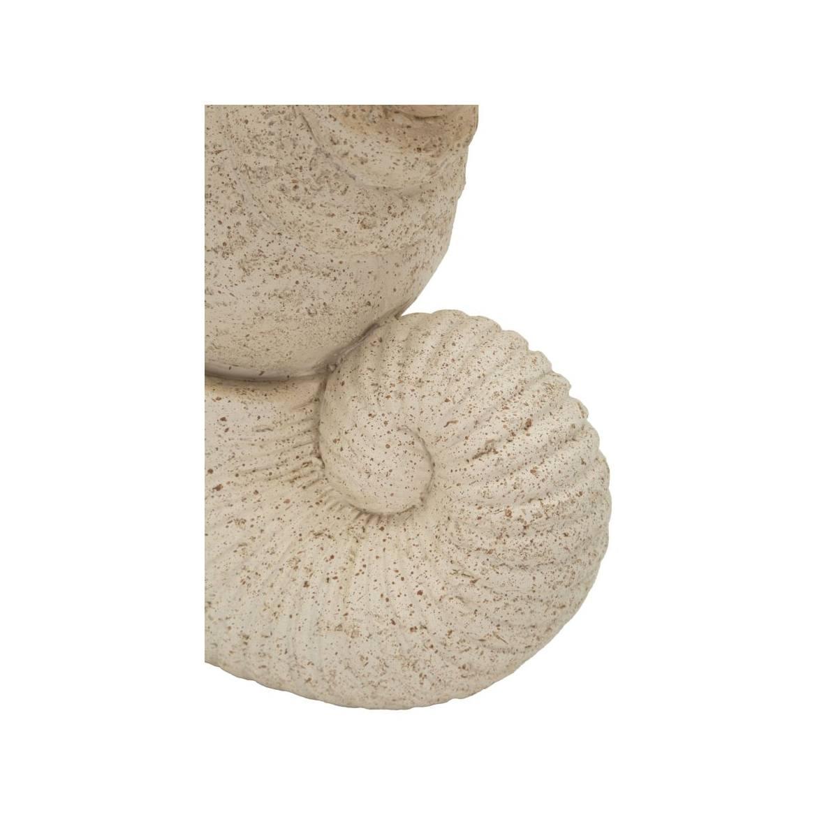 Conchiglia sand cm 17,2x10x30,2