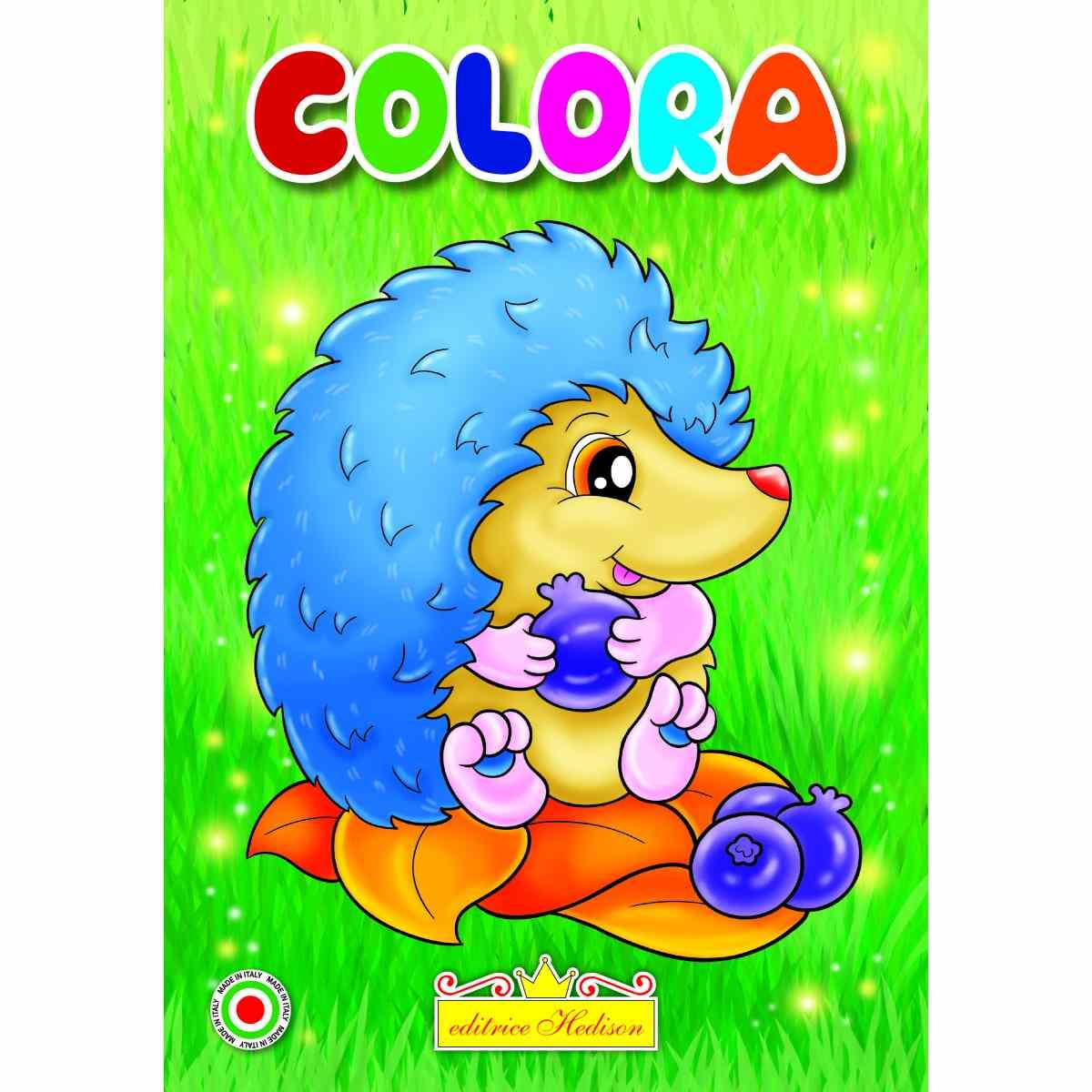 Minicolor 15x21 cm libro da colorare e scrivere animali e frutta