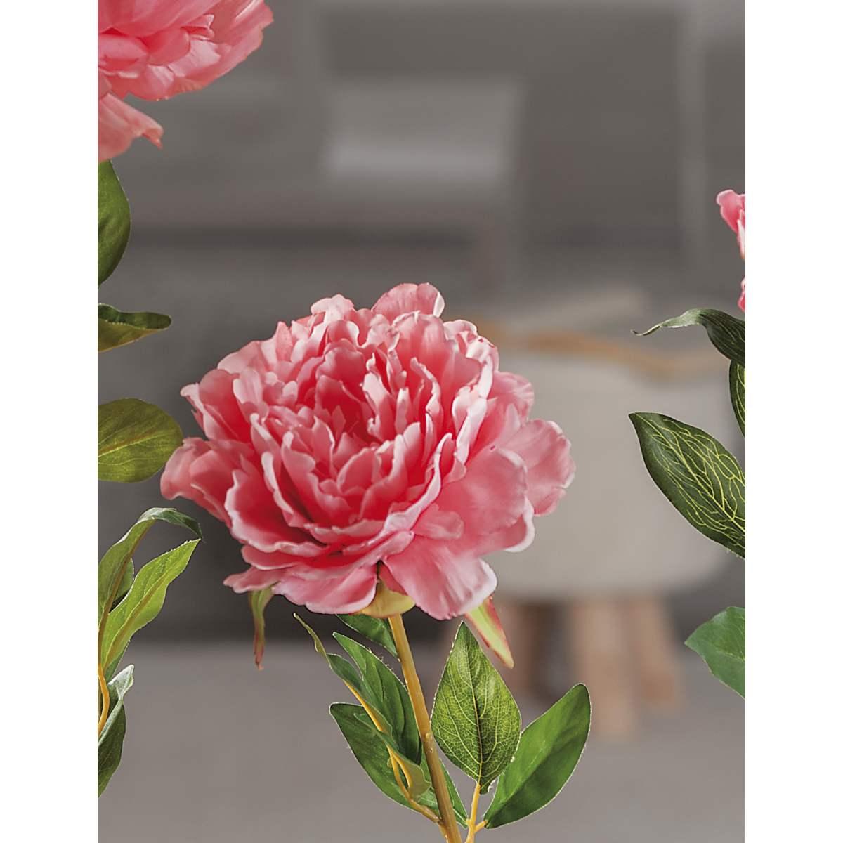 Peonia finta 85 cm